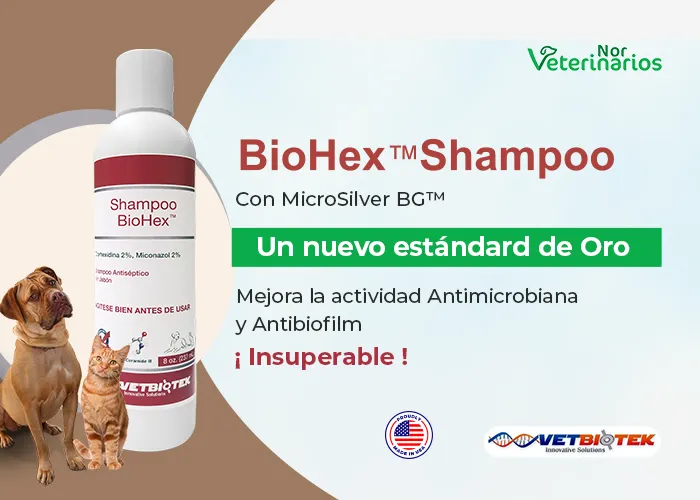 BioHex shampoo movil