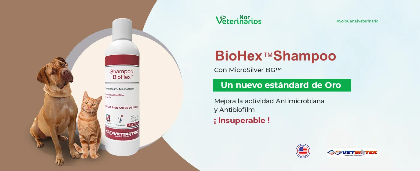 BioHex Shampoo