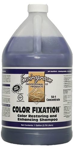 Color Fixation